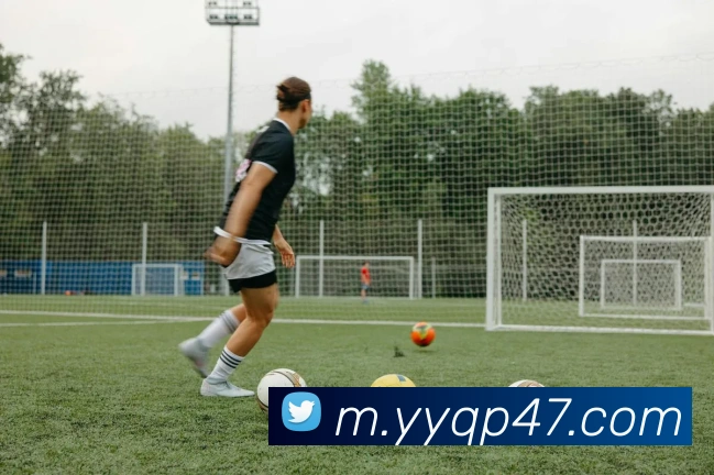 永盈棋牌平台生态图